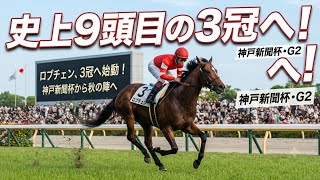 大谷翔平！圧巻のパフォーマンス！最新試合ハイライト #大谷翔平 #MLB #日本スポーツ