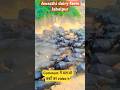 Awasthi Dairyfarm Jabalpur Murrah Buffalo Cow Ytshorts Farming Animals Yt Ytshort Banni