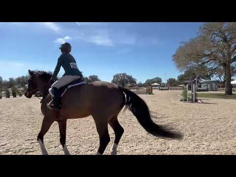 Dollar Del Colle video 1