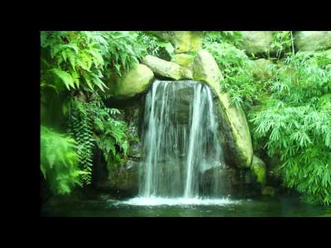 Sophrology - Banishing negative emotions