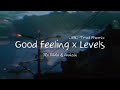 Good Feeling x Levels x JBL Remix [Mashup] - Flo Rida, Avicii & Florian Hamelink (Raul Fernandes)