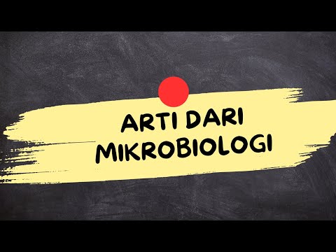 ARTI DARI MIKROBIOLOGI (Mikrobiologi Adalah)