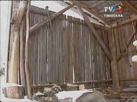 Achim nica - pe ulița cea de sus