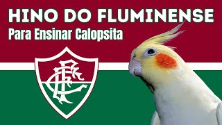 Download lagu HINO DO FLUMINENSE Para Ensinar CALOPSITA Cantar mp3