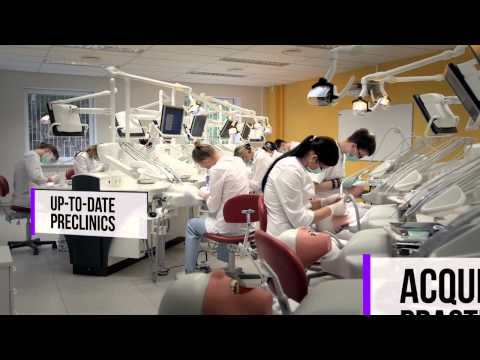 download lagu mp3 mp4 Leading Dental, download lagu Leading Dental gratis, unduh video klip Leading Dental