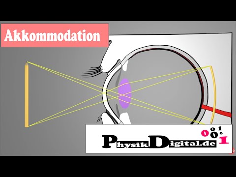 Wie sehen wir scharf? Das Auge - Akkommodation -einfach und anschaulich erklärt von physikdigital.de