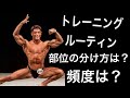 【ボディビル】トレーニングルーティン何分割？