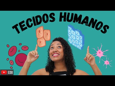 Aula Tecidos Humanos