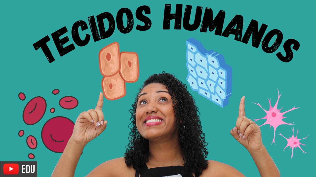 Aula Tecidos Humanos