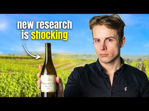 This New Study Changed How I Think About Alcohol & Health