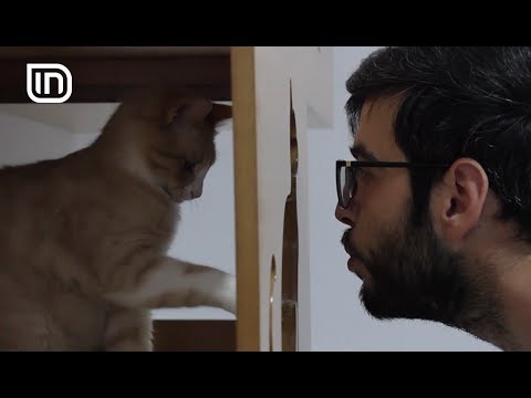 Life is Better with Friends 14062017 - Si ti afrohemi maceve