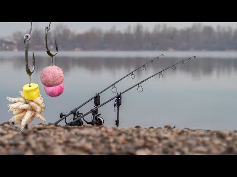 Karpfenangeln im Winter ❄️ mit Maden zum Erfolg