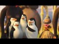The Penguins Of The Madagascar Lemur See Lemur Doo FLV