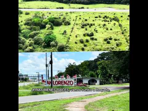 En venta finca a Vía Interamericana, #sanlorenzo #chiriquí  103.9ha, $3.3MM, 📲6675-8910#finca