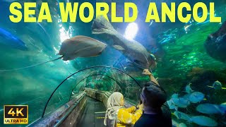 Download lagu SEA WORLD ANCOL‼️ Wisata Akuarium Raksasa di Jakarta | Walking Around 2024 mp3 Download lagu SEA WORLD ANCOL‼️ Wisata Akuarium Raksasa di Jakarta | Walking Around 2024 mp3