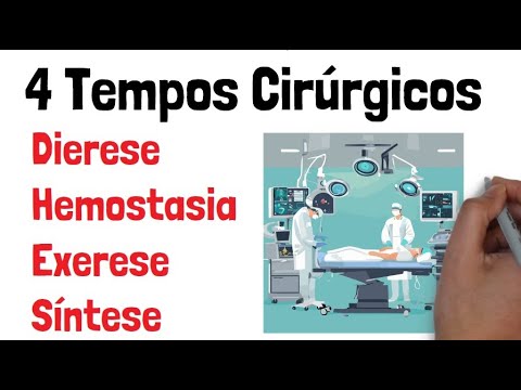 What are the 4 Surgical Stages: Dieresis, Hemostasis, Exeresis, and Synthesis?