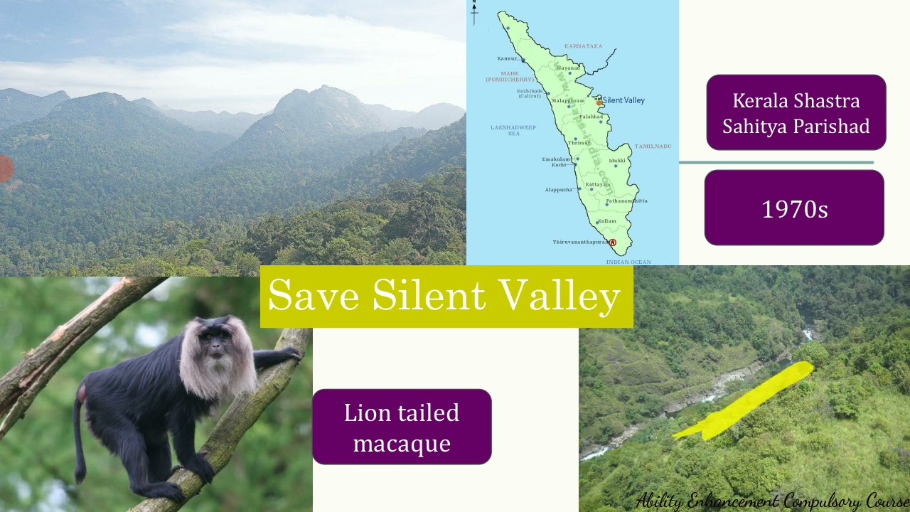 Impact of Dams and Mining on  Forests and Tribal people | Case Studies| EVS | Environmental Studies