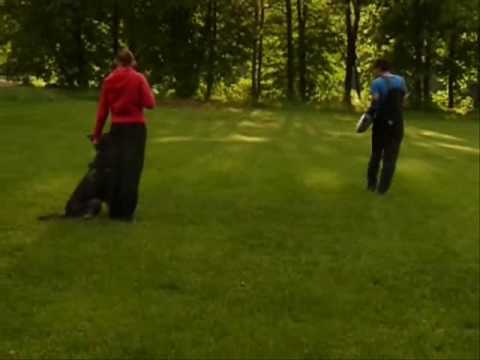 Aischa z Jukasu - defence - 25 months