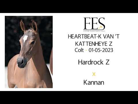 Heartbeat-K van 't Kattenheye Z