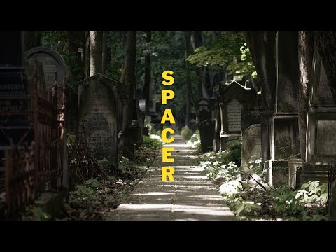 Cmentarz żydowski w Warszawie