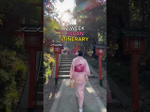 2-WEEK JAPAN ITINERARY 🇯🇵‼️ #japan #travel #traveltips #travelguide