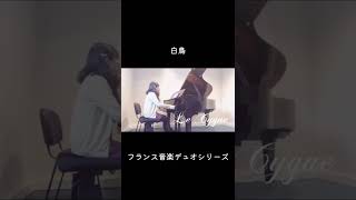Download lagu 動物の謝肉祭より名曲白鳥を弾いてみた🦢#pianoplayer #piano #pianoduo #pianomusic #ピアノ #癒し音楽 #連弾 #shorts mp3 Download lagu 動物の謝肉祭より名曲白鳥を弾いてみた🦢#pianoplayer #piano #pianoduo #pianomusic #ピアノ #癒し音楽 #連弾 #shorts mp3