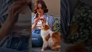 Cada lunes es una nueva oportunidad para empezar de nuevo🌞❤️