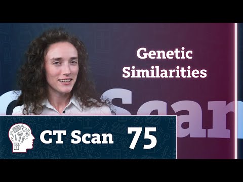 ¿Tener genes similares significa compartir el mismo ancestro? (Episodio 75)