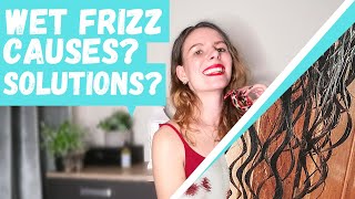 WET FRIZZ | Common causes and how to fix it | Protein/Moisture balance