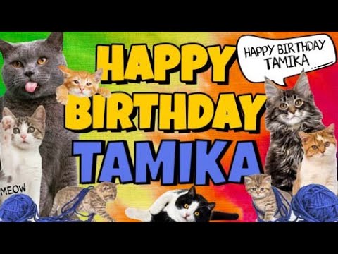 Happy Birthday Tamika! Crazy Cats Say Happy Birthday Tamika (Very Funny)