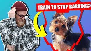 How To Stop Your YORKSHIRE TERRIER Barking