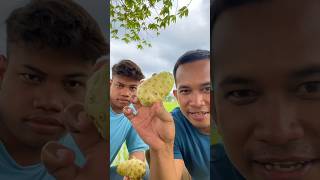 Download lagu Eating noni makes you vomit #noni #shorts mp3 Download lagu Eating noni makes you vomit #noni #shorts mp3