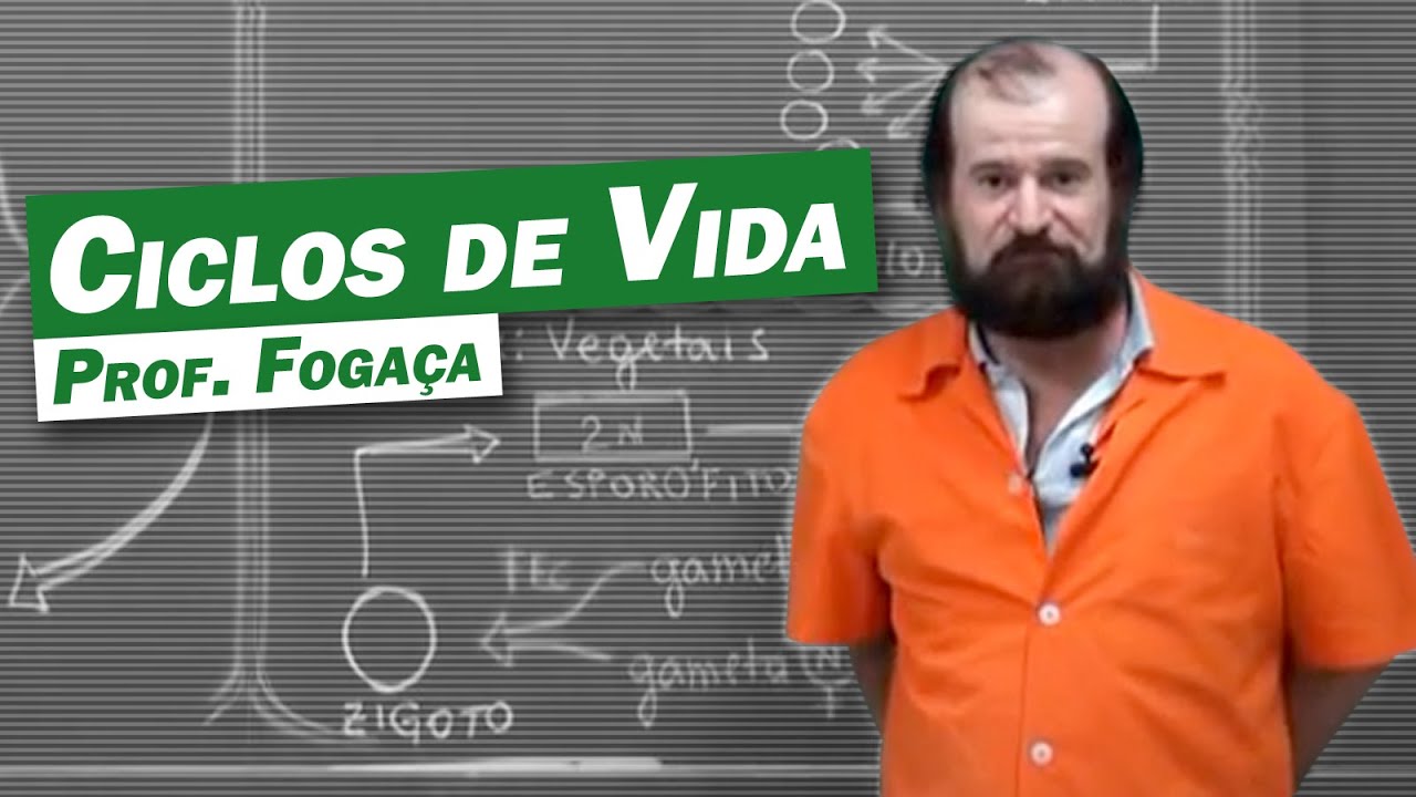 Biologia - Ciclos de Vida