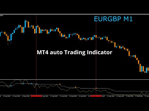 Video Binary Trading Metro Station