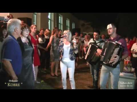 Vojkan Jovic i Orkestar KOBRE 2016. Igranka u Oreskovici.  2.deo.