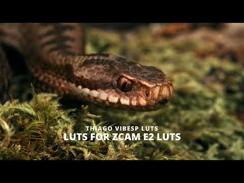 nature-looks-professional-zcam-e2-luts - Best LUTs for Filmmakers