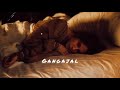 Gangajal (Slowed Reverb) Lofi songs