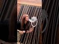 Jelly Fish Vape Tricks Smoke Rings Hookah Bar Vaper Girl Shorts