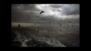 The Angelic Process - Sleepwritten (Rare)