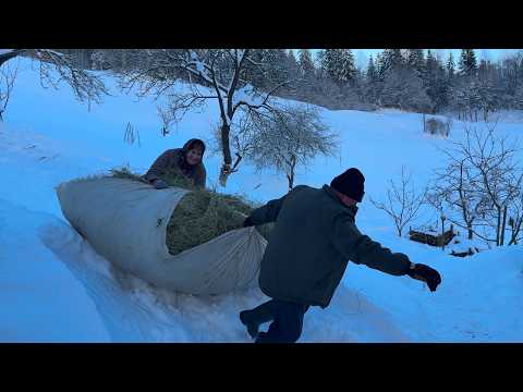 Deep Winter in the Carpathians 🏔️❄️ | Mountain Farm Work, Snowy Slopes & True Love