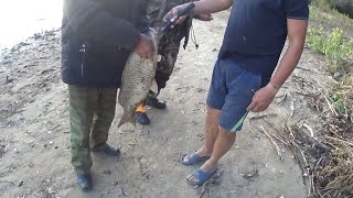 Рыбалка на волге капустин яр поселок садовый лапоть