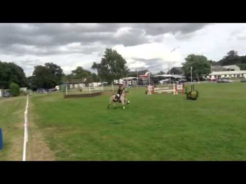 Our Dun - Welsh Home Pony 1m10 Derby 2014 4th place. (2)