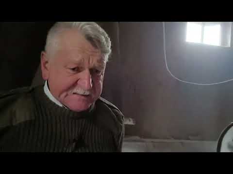 STARY MŁYN - NORMALNA ŻYWNOŚĆ.