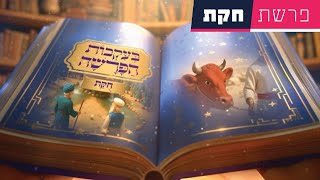 בעקבות הפרשה - פרשת חקת | סיפור פרשת השבוע בהמחשת AI מיוחדת