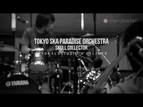 Tokyo Ska Paradise Orchestra / Skull Collector 東京スカパラダイスオーケストラ