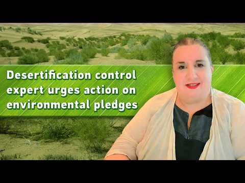Desertification control expert urges action on environmental pledges