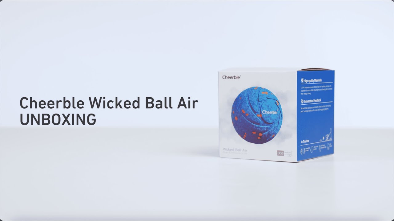 Cheerble Hunde-Spielzeug Wicked Ball Air Cheerble Hunde-Spielzeug Wicked Ball Air