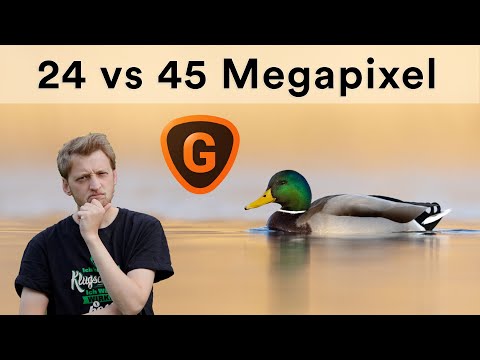 Sind Kameras mit vielen Megapixel überflüssig? Gigapixel AI im Test