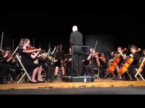 Granny, Does Your Dog Bite? (Traditional Fiddle Tune - Redux)