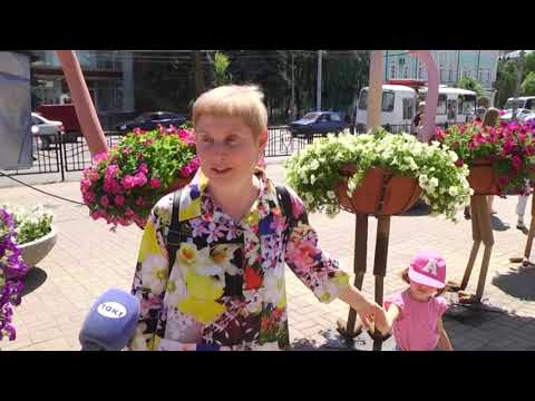 Куряне продолжают обсуждать страусов на улице Ленина